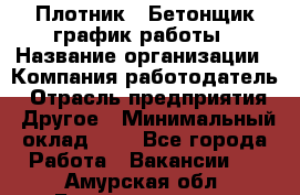 Плотник – Бетонщик график работы › Название организации ­ Компания-работодатель › Отрасль предприятия ­ Другое › Минимальный оклад ­ 1 - Все города Работа » Вакансии   . Амурская обл.,Благовещенск г.